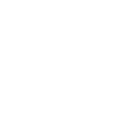 Icon Autositz