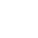 Icon Autositz